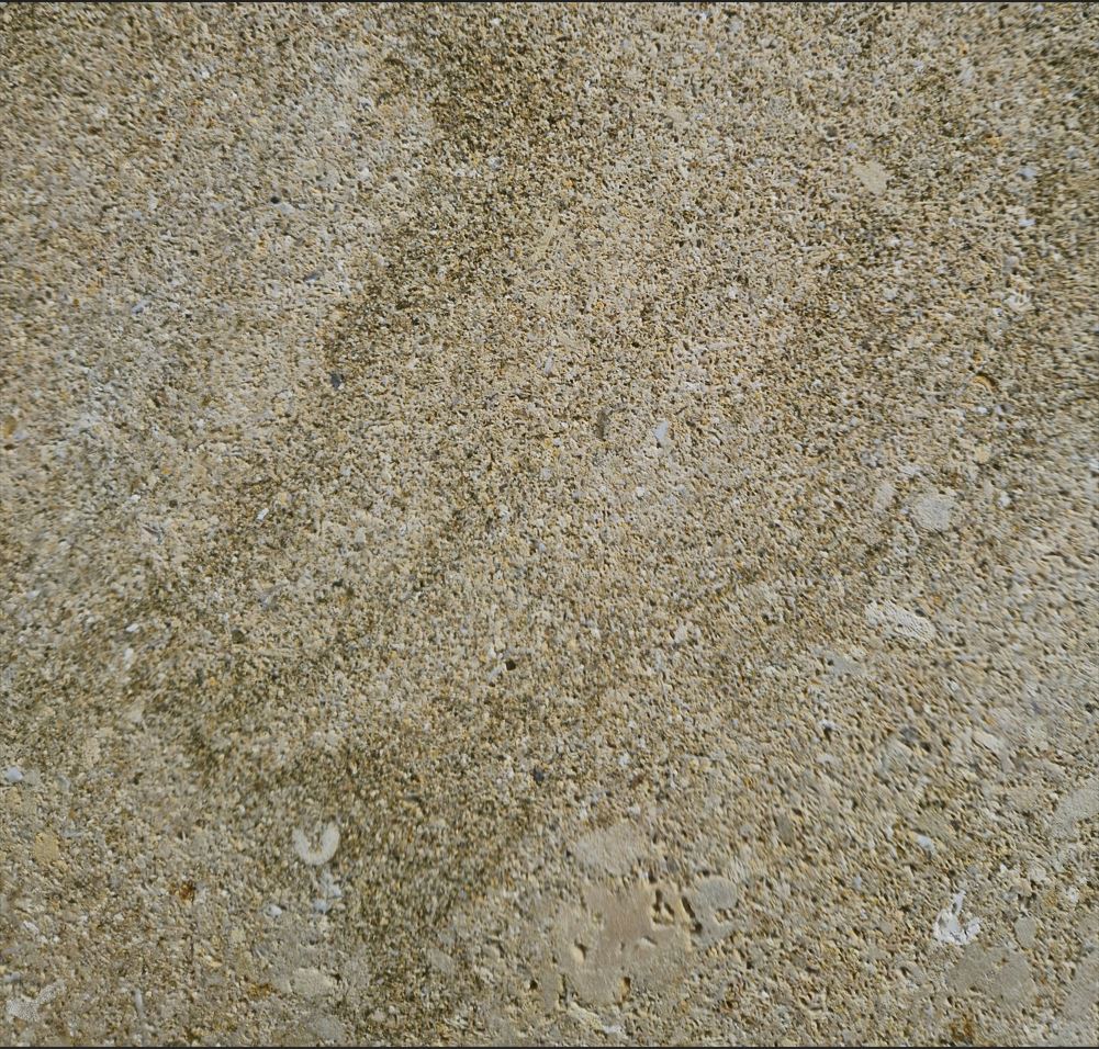 Face coquillée en contresens - Coloris crème.JPG